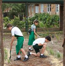 kids gardening kids gardening
