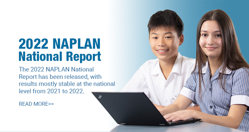 NAPLAn national report